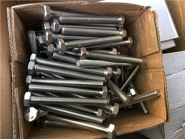 310s / 1.4845 اتصال دهنده های مخصوص استیل ضدزنگ hex bolt مهره مهره m24 * 80mm